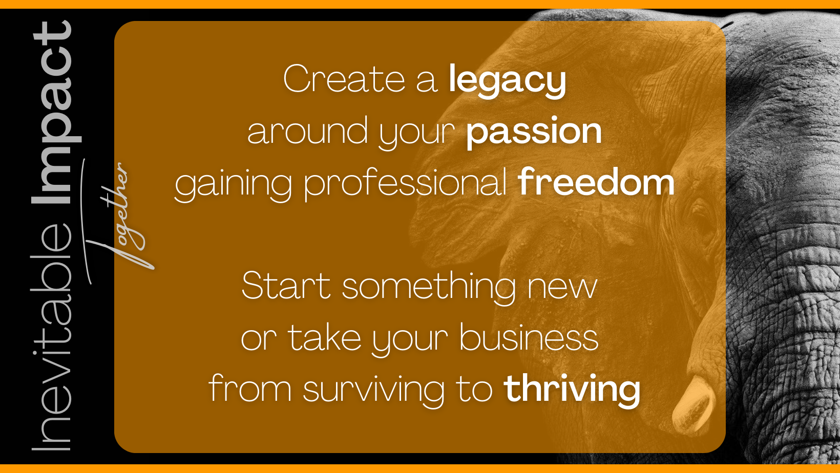 Create a legacy around your passion gaining professional freedom. Impact is inevitable. Let's accelerate success together.